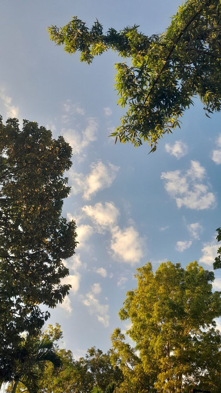 Cielo abierto con nubes